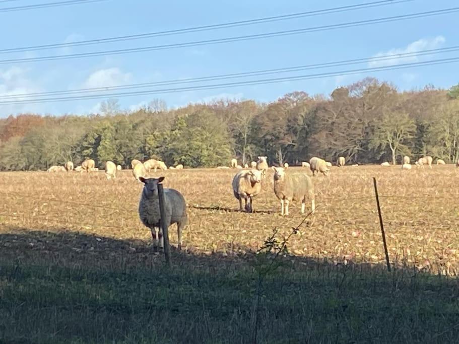 LINCOLNSHIREBeautiful Rural Holiday Chalet别墅 外观 照片